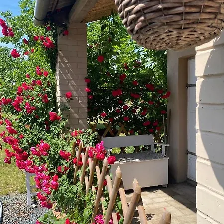 Harmonia Apartman Apartment Mako